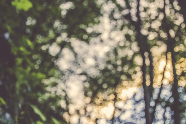 163b634c-39cc-3c85-b6e4-a62a6b18585a 163b634c-39cc-3c85-b6e4-a62a6b18585a